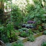 Elegant Raised Beds