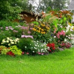 Flower Bed