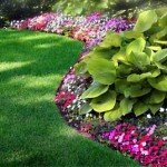 Flower Bed