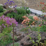 Raised Bed Rock Garden