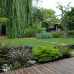 Contemporary Garden Design