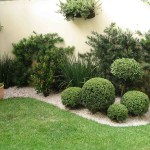 Boxwood Bed