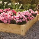 Raised Flower Bed