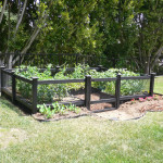 Vegetable Garden