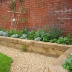 Vegetable Garden